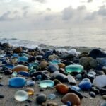 Glass Pebble Beach Florida