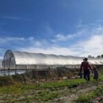 Financing Farm Equipment Wisely: Strategies for Sustainable Agricultural Growth